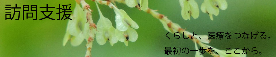 訪問支援(精神科訪問看護)